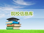 压宝马奔驰路虎的游戏
